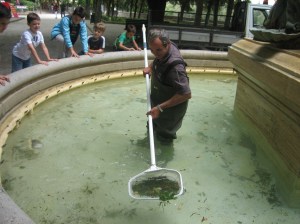 fountain cleaner