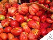 Camucia Market - blogginginitaly.com