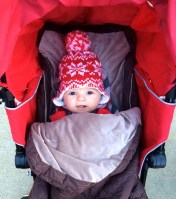 At 10 weeks ©Blogginginitaly.com