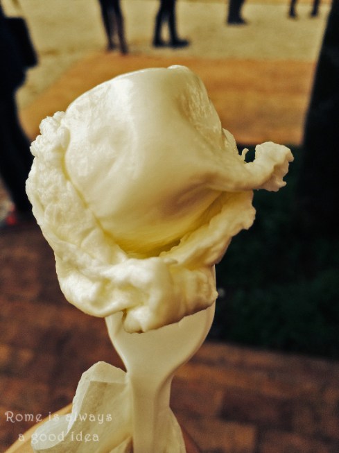 Romeisalwaysagoodidea.wordpress.com