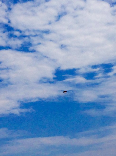 ©Blogginginitaly.com