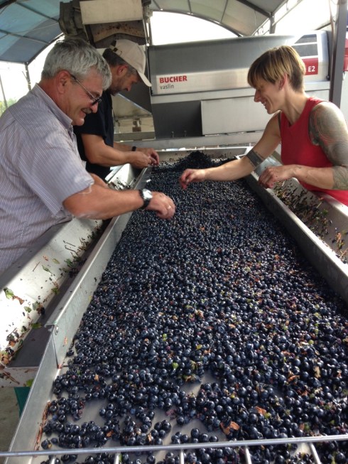 ©Blogginginitaly.com