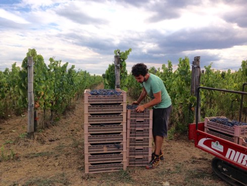 ©Blogginginitaly.com