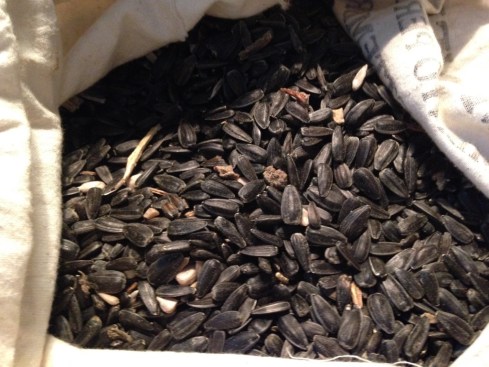 ©Blogginginitaly.com