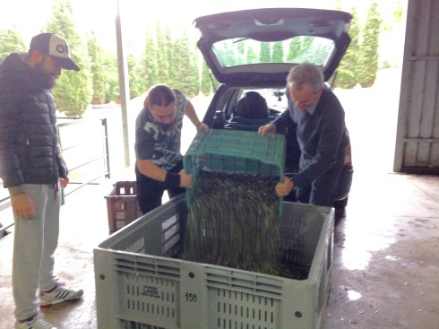 ©Blogginginitaly.com