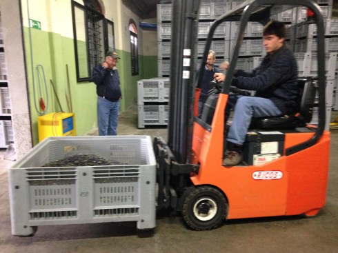 ©Blogginginitaly.com