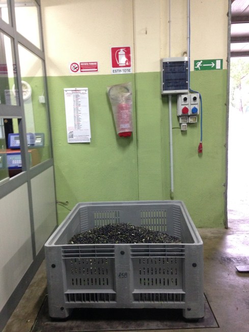 ©Blogginginitaly.com