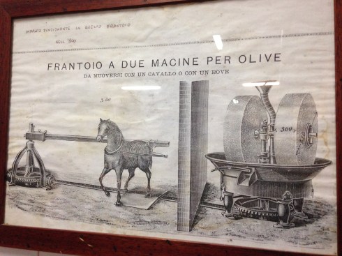 ©Blogginginitaly.com