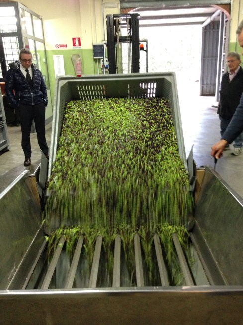 ©Blogginginitaly.com