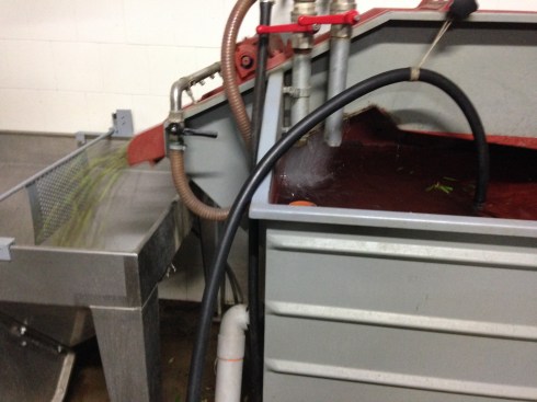 ©Blogginginitaly.com