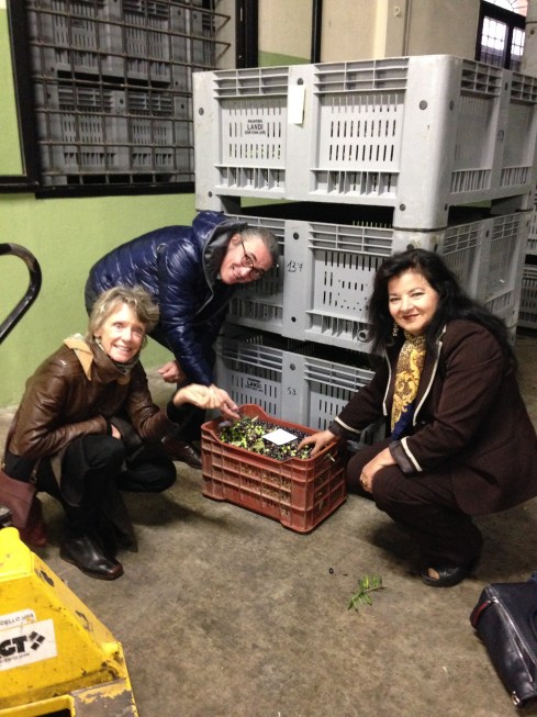 ©Blogginginitaly.com