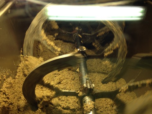 ©Blogginginitaly.com