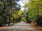 ©Blogginginitaly.com