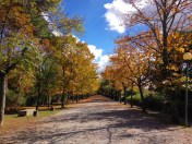 ©Blogginginitaly.com