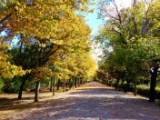 ©Blogginginitaly.com