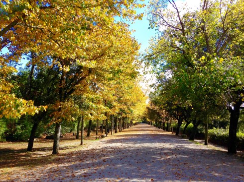 ©Blogginginitaly.com