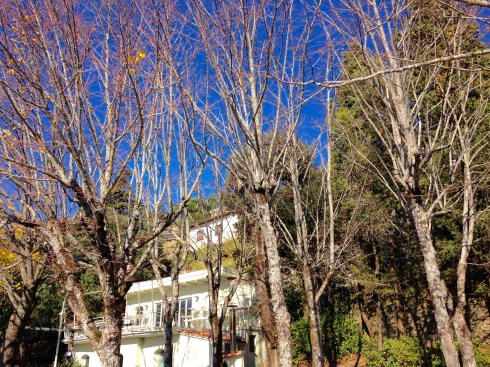 ©Blogginginitaly.com