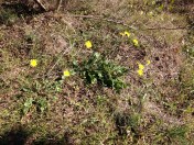 ©Blogginginitaly.com