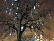 ©Blogginginitaly.com