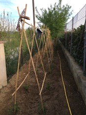 ©Blogginginitaly.com