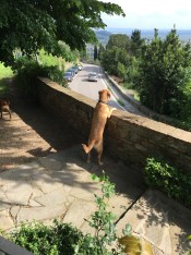 ©Blogginginitaly.com