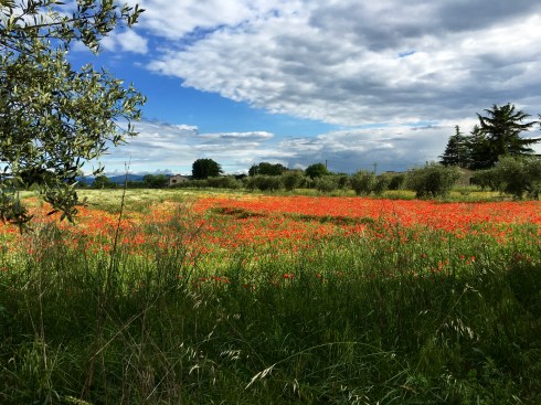 ©Blogginginitaly.com