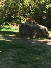 Cortona Parterre ©Blogginginitaly.com