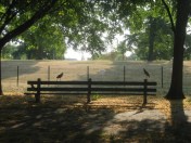 Lincoln Park©Blogginginitaly.com