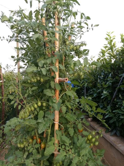 ©Blogginginitaly.com