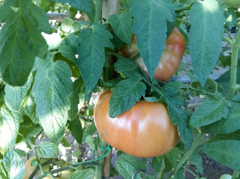 ©Blogginginitaly.com