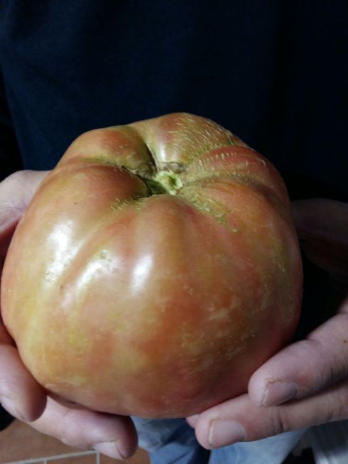 ©Blogginginitaly.com