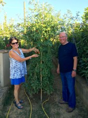 ©Blogginginitaly.com