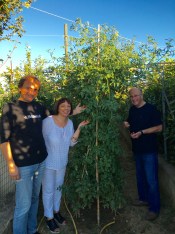 ©Blogginginitaly.com