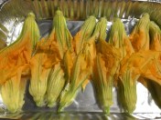 ©Blogginginitaly.com