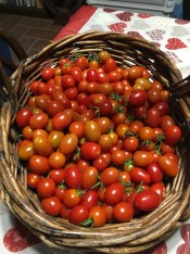 ©Blogginginitaly.com