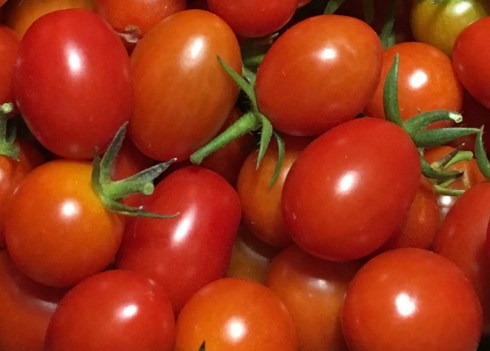 ©Blogginginitaly.com