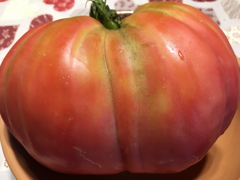 ©Blogginginitaly.com