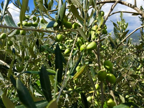 ©Blogginginitaly.com